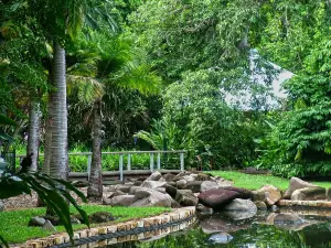 George Brown Darwin Botanic Gardens