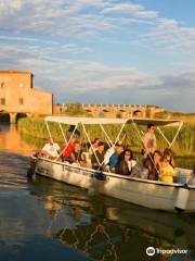 Riserva Naturale Diaccia Botrona