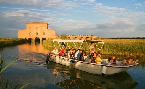 Riserva Naturale Diaccia Botrona