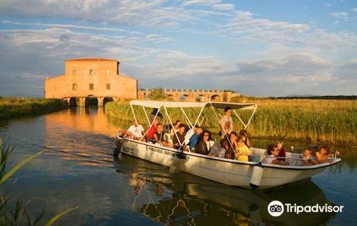 Riserva Naturale Diaccia Botrona