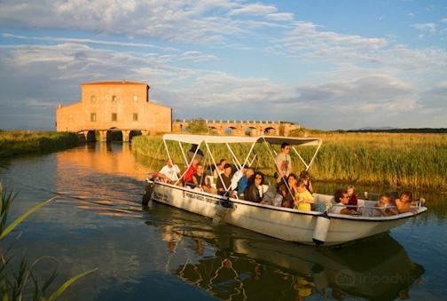 Riserva Naturale Diaccia Botrona