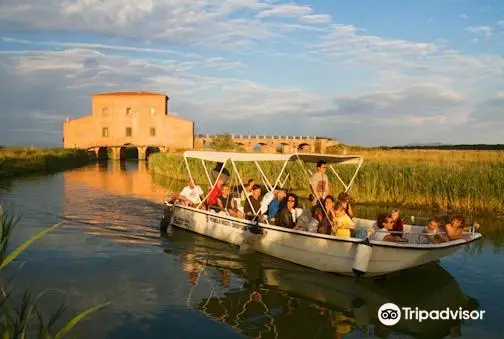 Riserva Naturale Diaccia Botrona