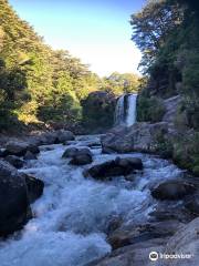 Tawhai Falls (Gollums Pool)