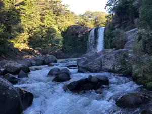 Tawhai Falls (Gollums Pool)