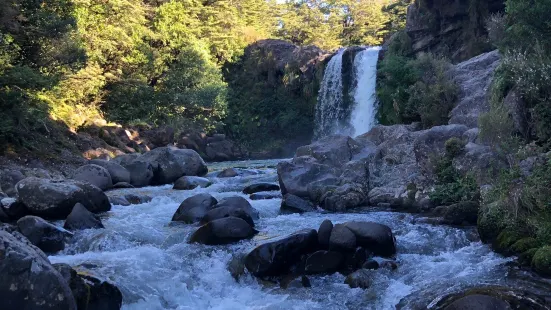 Tawhai Falls (Gollums Pool)