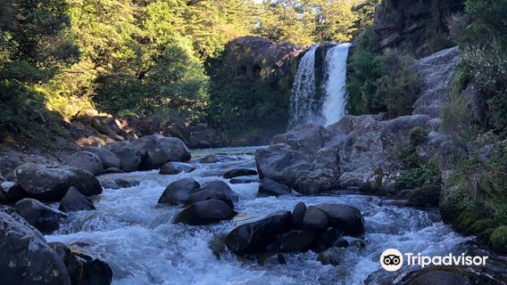 Tawhai Falls (Gollum's Pool)