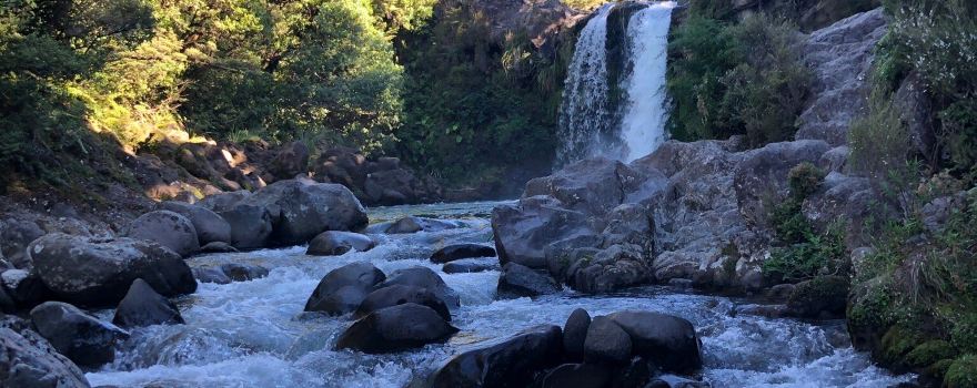 Tawhai Falls (Gollums Pool)