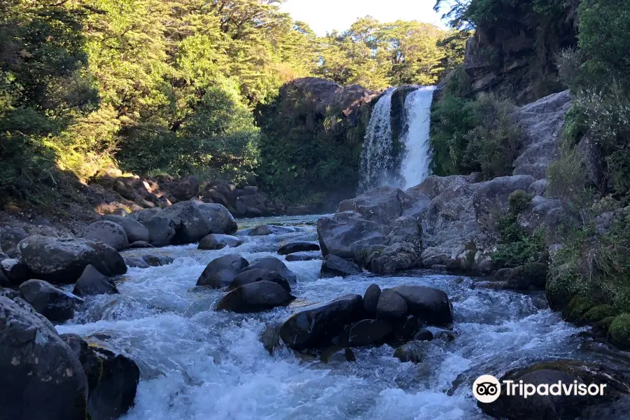 Latest travel itineraries for Tawhai Falls (Gollums Pool) in January