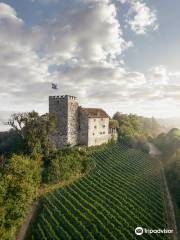 Schloss Habsburg