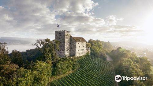 Habsburg Castle