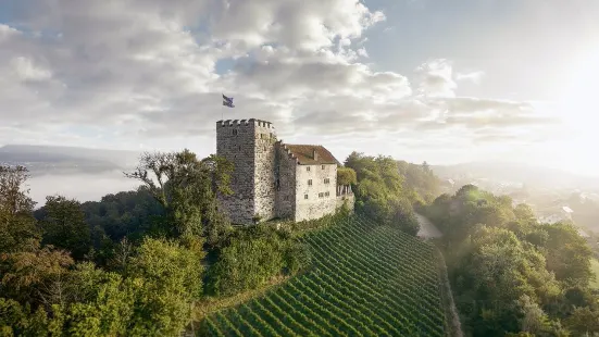 Schloss Habsburg