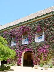 Casa Palacio de Las Dueñas