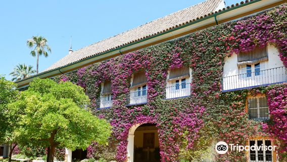 Palace of the Duenas