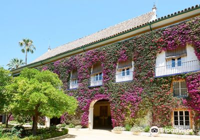 Palace of the Duenas