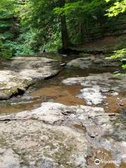 Buttermilk Falls Natural Area