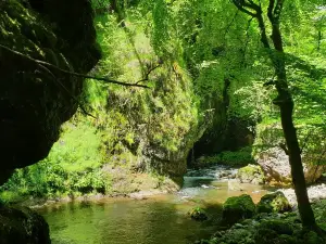 Les Gorges de la Jordanne