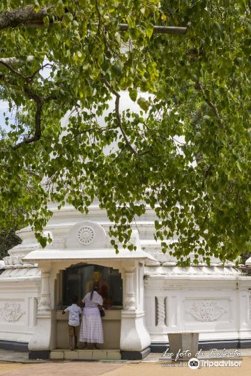 Kalutara Bodhiya