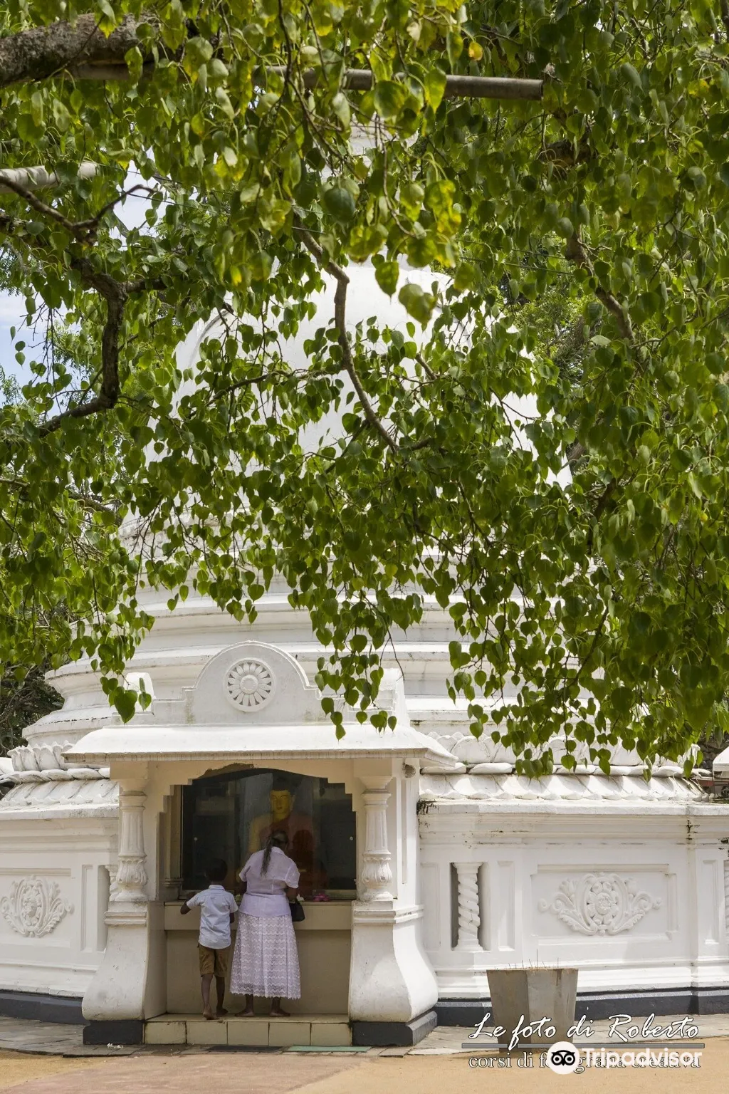 Kalutara Bodhiya