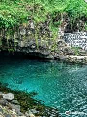 Piula Cave Pool