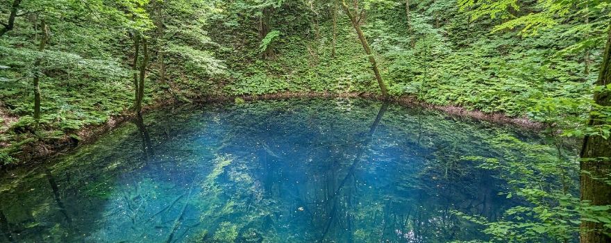 Blue Pond