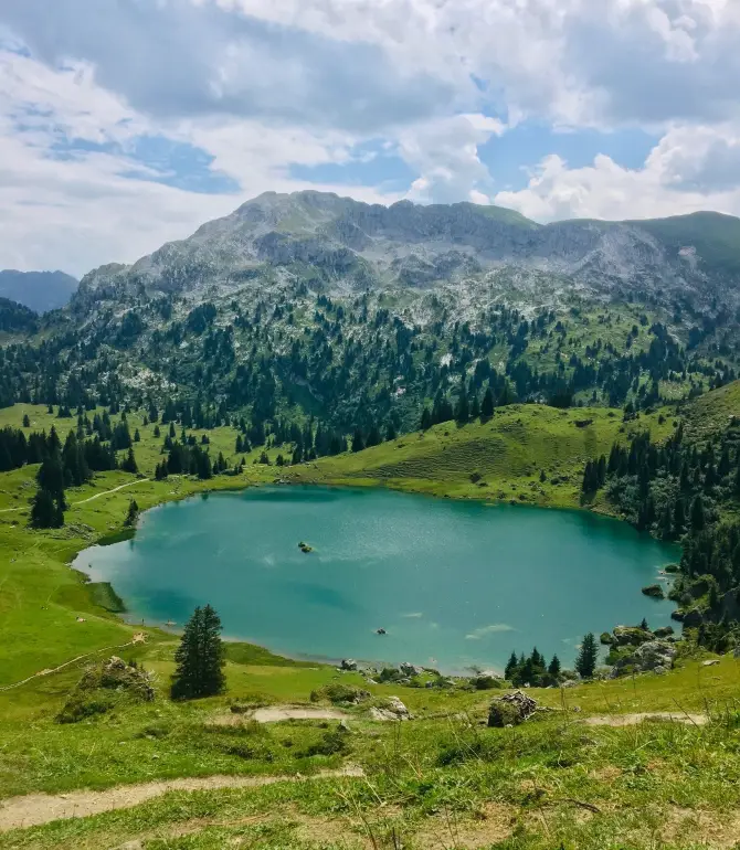 Zweisimmen