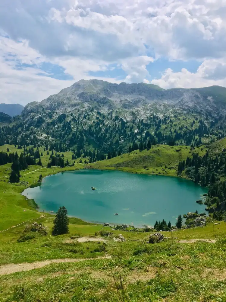 Zweisimmen