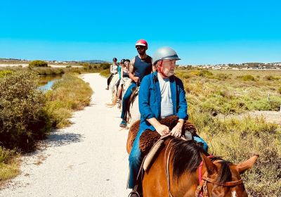 Promenade à Cheval Aresquiers