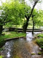 Botanical Garden, Kokernag