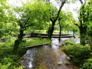 Botanical Garden, Kokernag