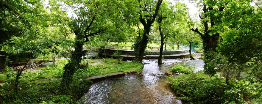 Botanical Garden, Kokernag