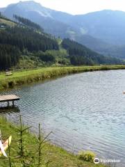 Grüblsee Alpenaquarium