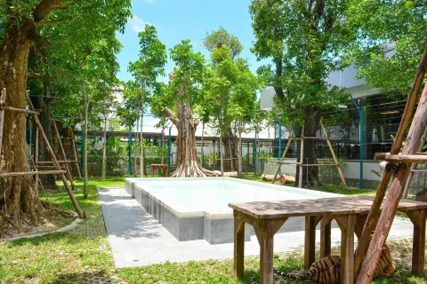 Tiger Park Pattaya