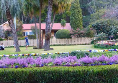 Spring Bluff Railway Station