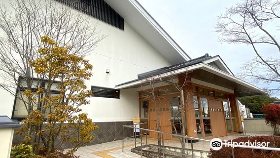 Tajimi