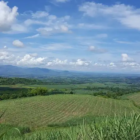 San Carlos City
