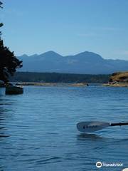 Adventuress Sea Kayaking