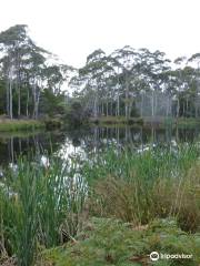 Peter Murrell Nature Reserve