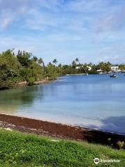 Mangrove Bay Beach