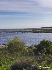 Mississagi Delta Provincial Nature Reserve