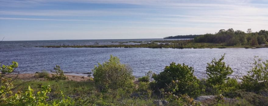 Mississagi Delta Provincial Nature Reserve