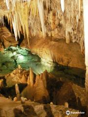 Grotte di Borgio Verezzi