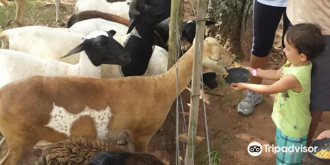 Fazendinha Caminho da Roca