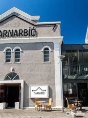Tjarnarbio Theatre and Café