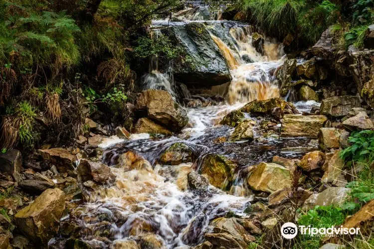 Glenevin Waterfall