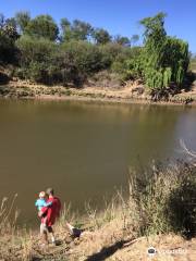 Soetdoring Nature Reserve Bloemfontein