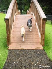 Beau's Dream Dog Park at Buchanan Park