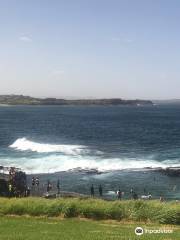 Jervis Bay Walks