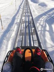 Luge sur rail "Mountain Twister"