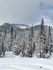 Northwest Montana Adventures