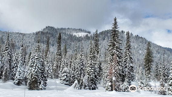 Northwest Montana Adventures